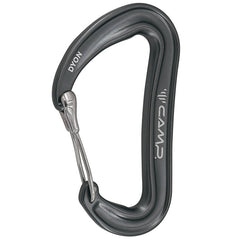 Camp Dyon karabiner