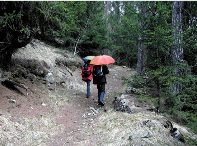 EuroSchirm TrekMate ultraleicht-reiseschirm, schwarz