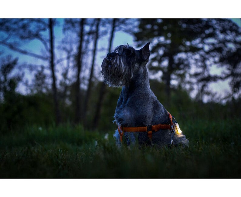 ArmyTek Zippy Led schlüsselanhänger, gelb