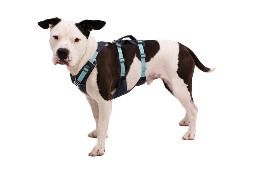 Ruffwear Flagline-Geschirr, basalt gray