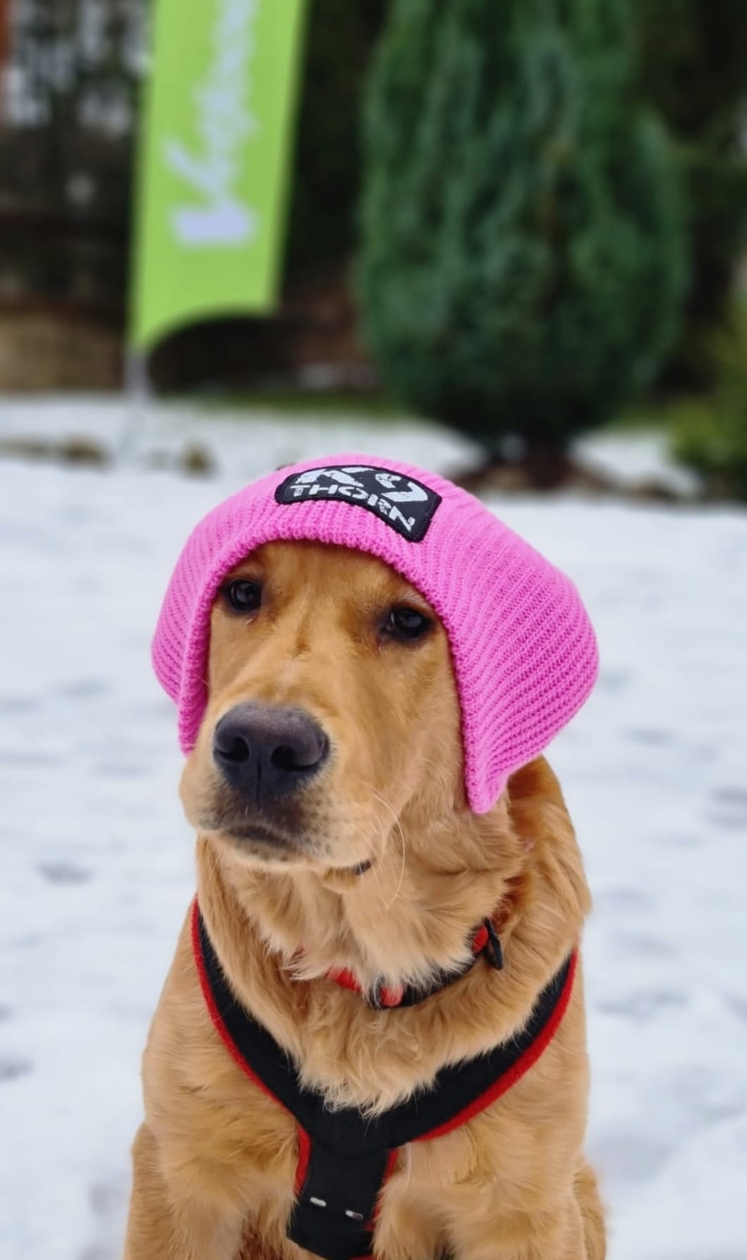 K9 Thorn zimná čiapka, ružová