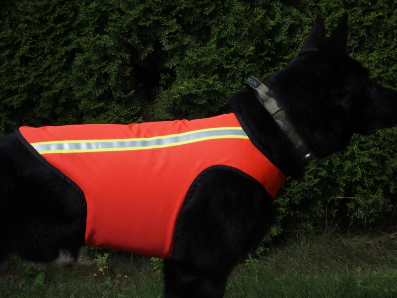 K9 Thorn Warnweste, XL