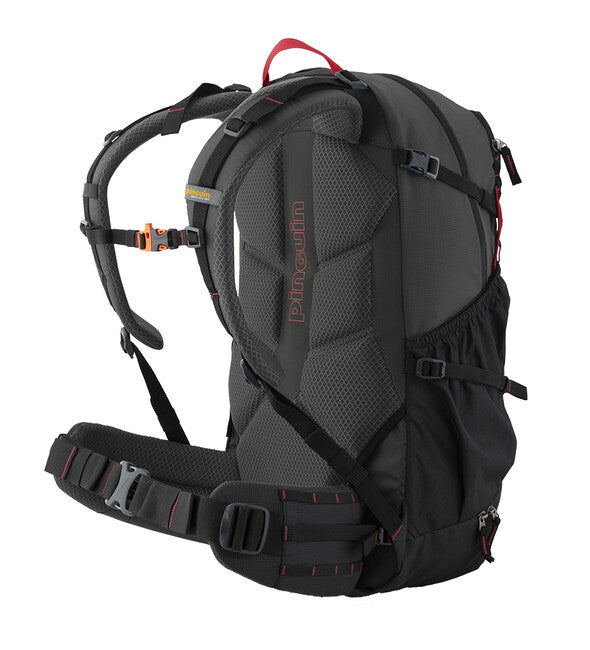 Pinguin-Rucksack Vector, 35 L, grün