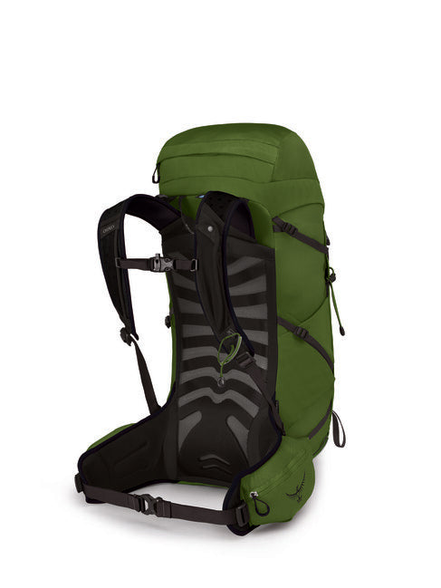 OSPREY Talon 33 wanderrucksack, green belt/black