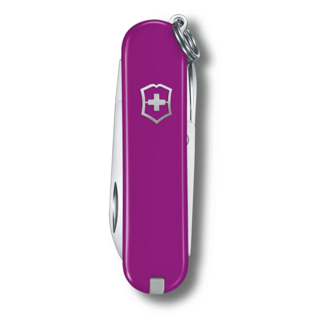 Victorinox Classic SD Colors Tasty Grape multifunkčný nôž, tmavofialová, 7funkcií, blist