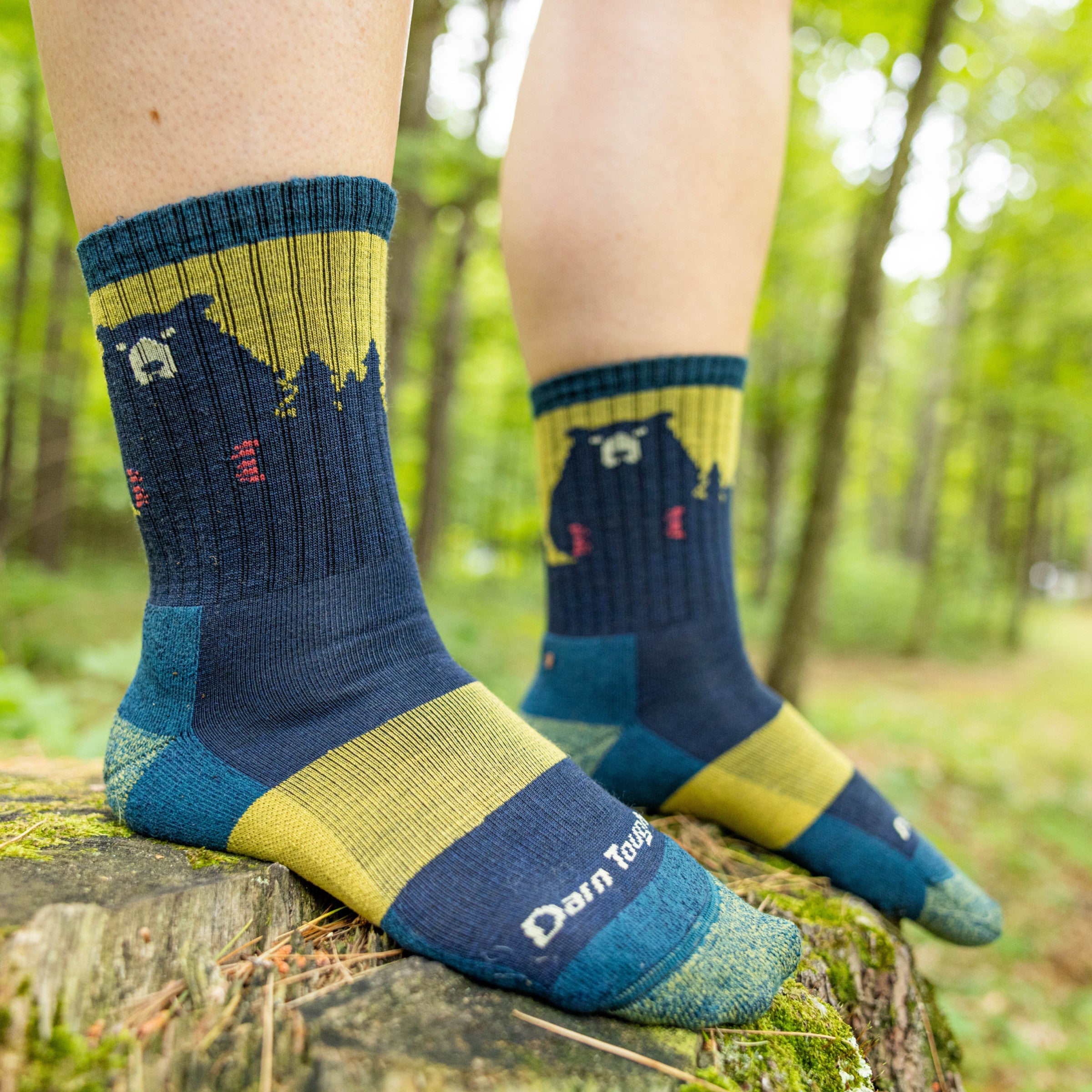 Darn Tough Bear Town Micro Crew Wandersocken mit Dämpfung, Dark Teal