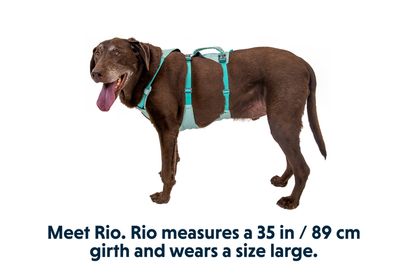 Ruffwear Flagline, sage green