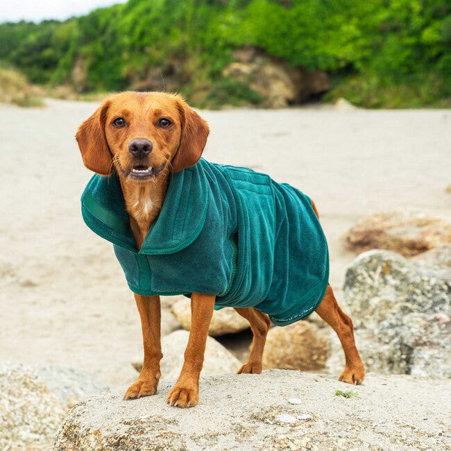 Mountain Paws Dog Robes Hundemäntel Bademantel medium, grün