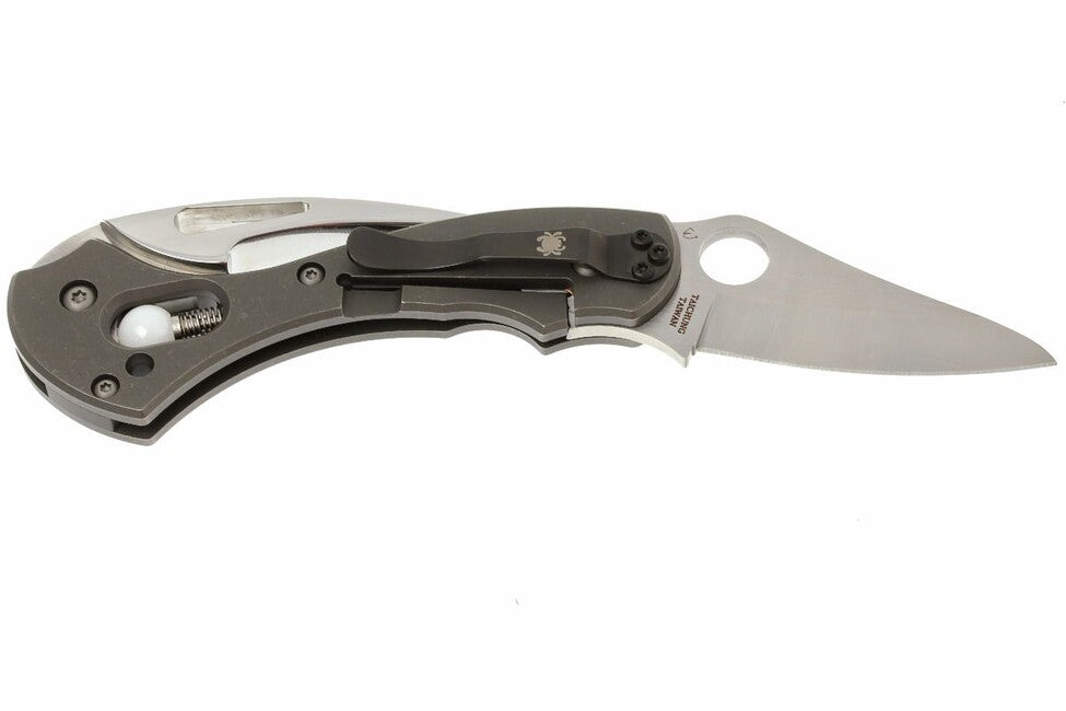 Spyderco Tusk taschenmesser 6 cm, grau, titan