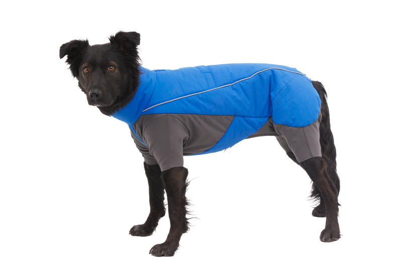 Ruffwear Jumpsuit für Hund Vert, blue pool