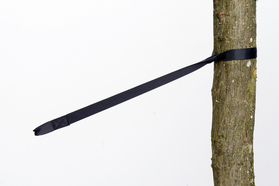Amazonas tree hugger ochrana stromov 2 kusy