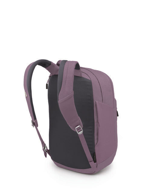 OSPREY ARCANE XL stadtrucksack purple dusk heather