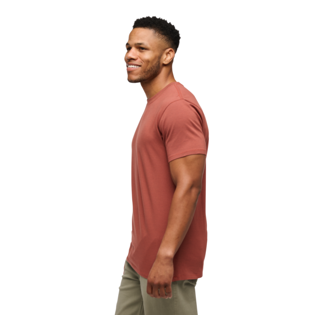 Black Diamond BD Stripe T-shirt Men's, Mahogany-Burnt Sienna