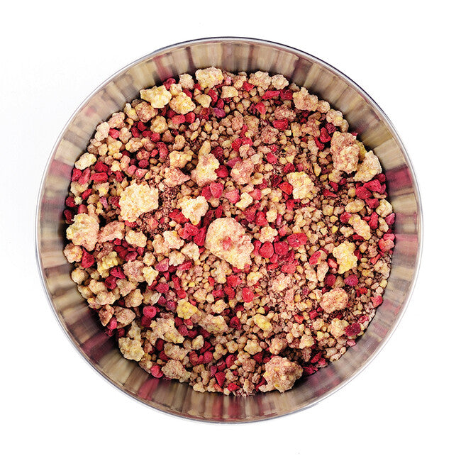 LYOfood Porridge mit Himbeeren 370g