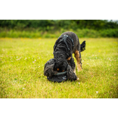 Mountain Paws XL tiergeschirr