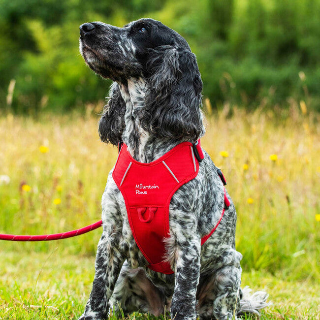 Mountain Paws Padded Dog Harness Large, Red