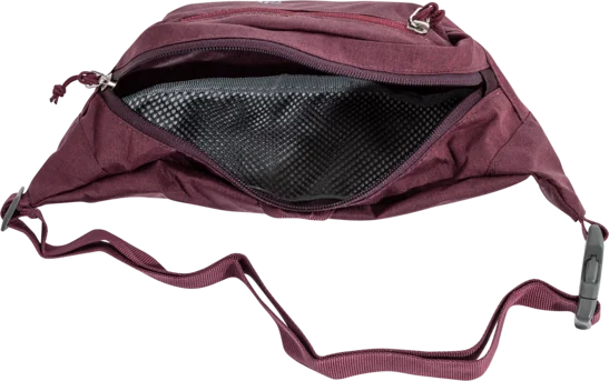 Deuter Kid's Nierengurt I, maron