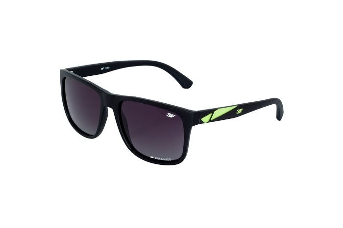 3F Vision Sonnen- Polarisationsbrille Kern 1760