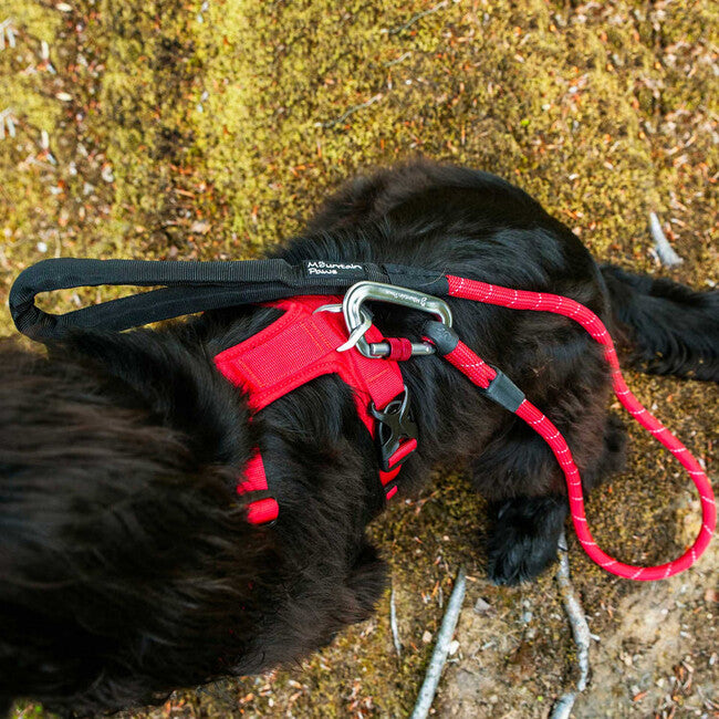 Mountain Paws Padded Dog Harness Large, Red