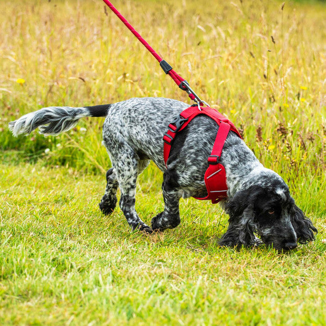 Mountain Paws Padded Dog Harness Medium, Red
