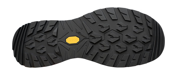 Lowa Renegade EVO GTX LO Men's Trekking Boots