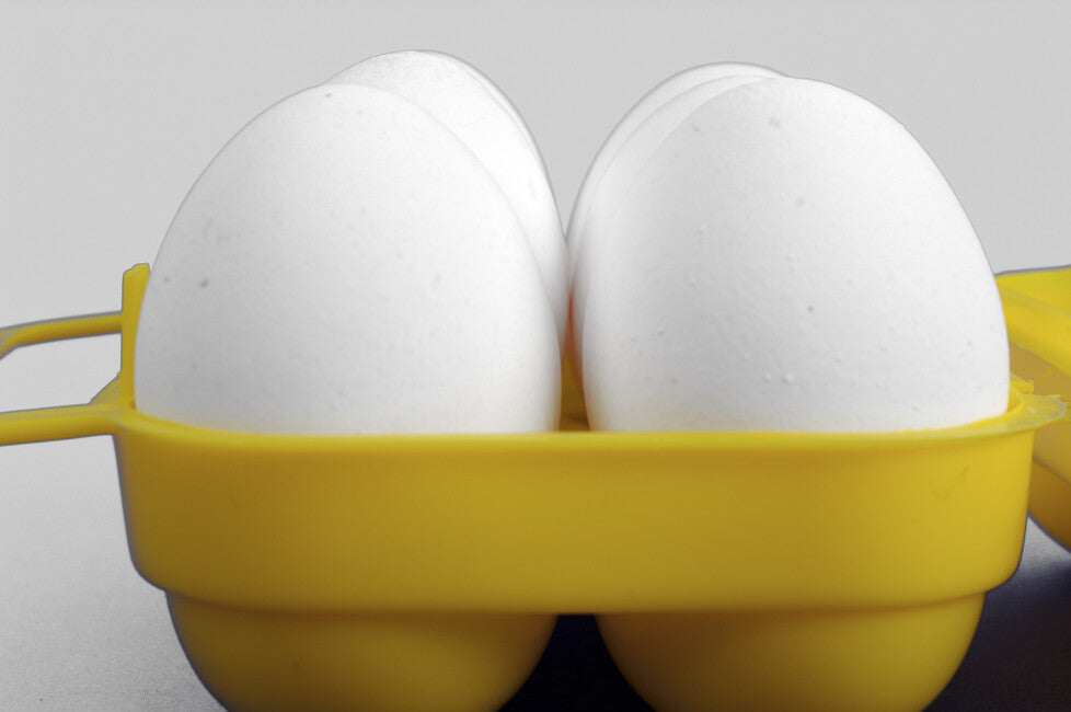 Coghlan's Egg Container, 6 Eggs