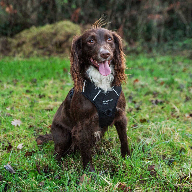 Mountain Paws Gepolstertes Hundegeschirr Hundegeschirr Medium, schwarz