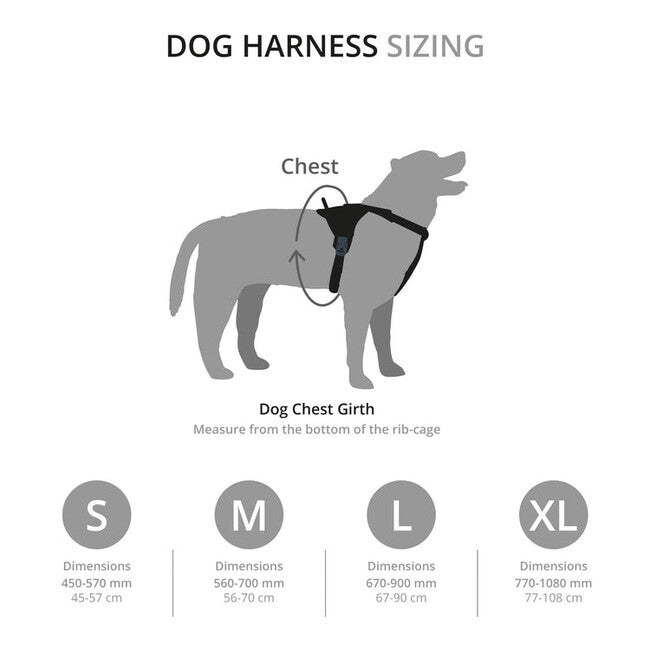 Mountain Paws Gepolstertes Hundegeschirr Hundegeschirr Medium, schwarz