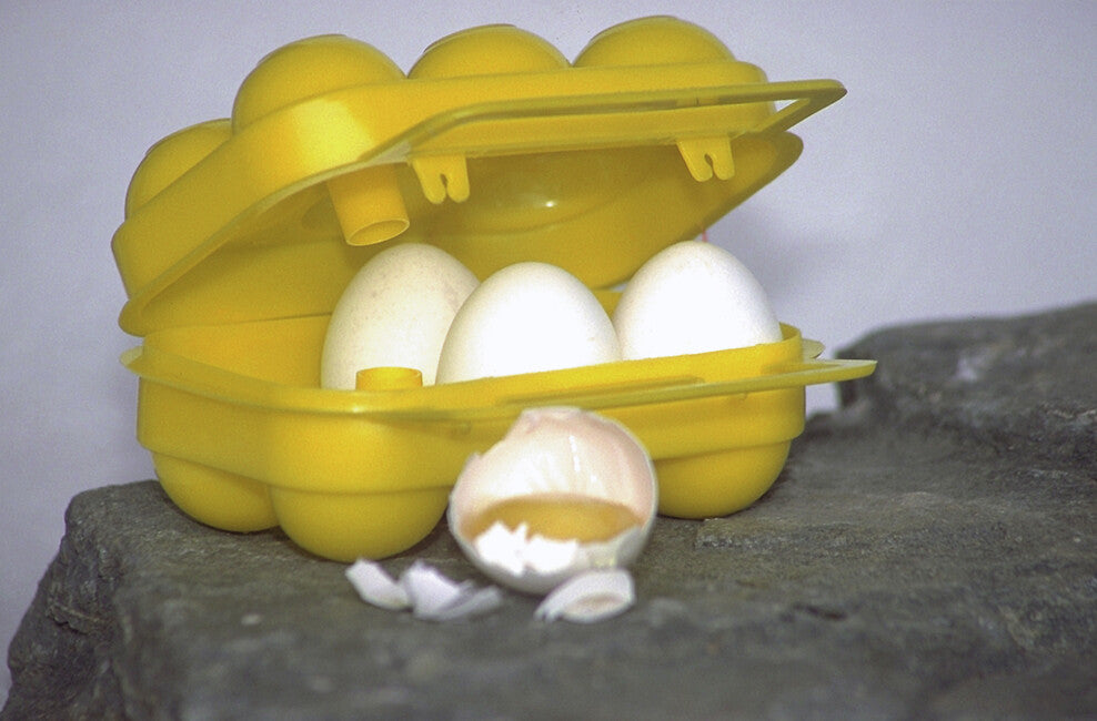 Coghlan's Egg Container, 6 Eggs