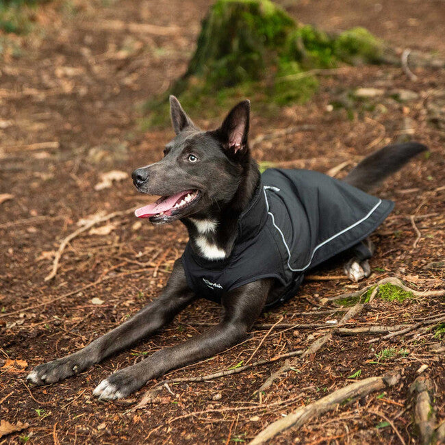 Mountain Paws Μικρό Αδιάβροχο για Σκύλο