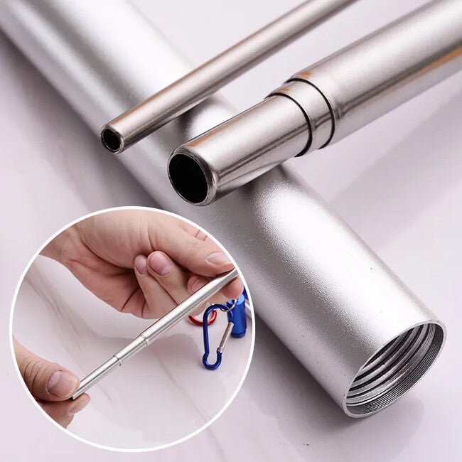 DRAGOWA Tactical Collapsible Metal Straw with Case Mossy, Silver