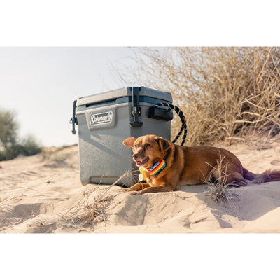 Coleman Convoy kühlbox 28qt 29 l