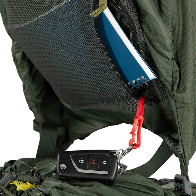 Osprey Kestrel 58 Hiking Backpack, Bonsai Green