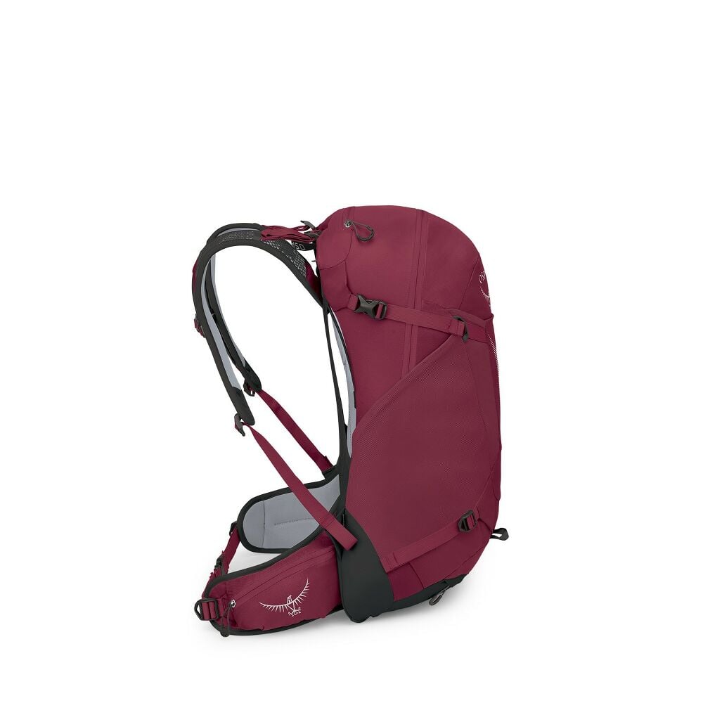 OSPREY HIKELITE 28 turistický batoh, chameleon/black, M/L