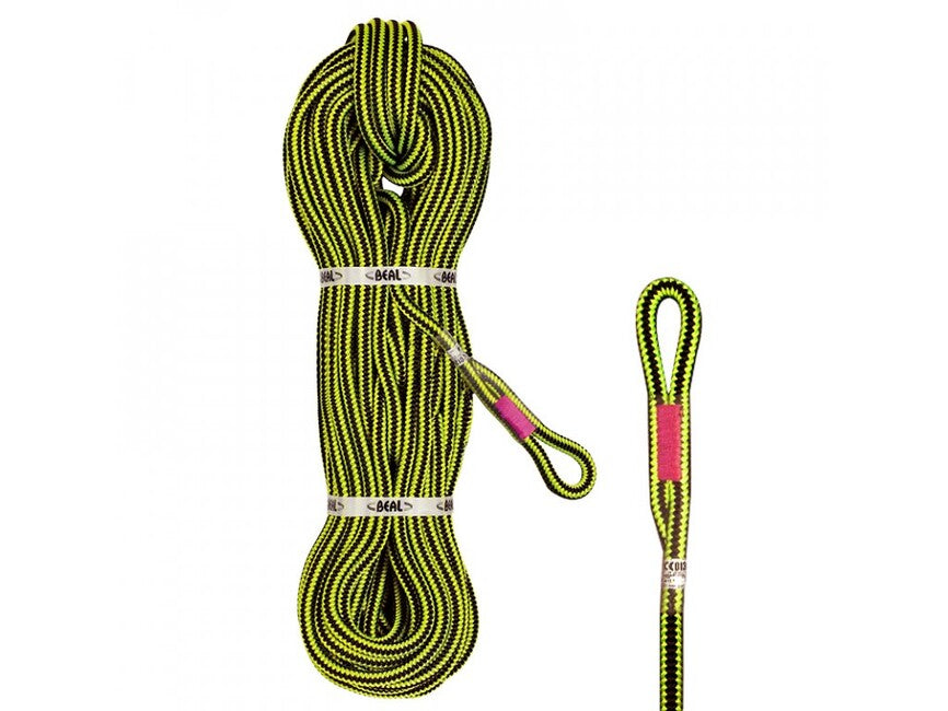 Beal Ginkgo baumpflegeseil mit endschlaufe 12 mm 30 m