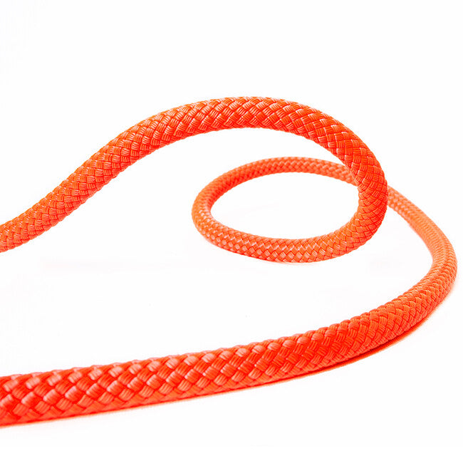 Beal Pro Canyon kletterseil 10,3 mm 60 m