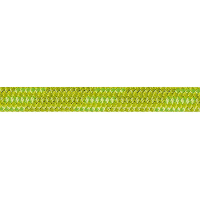 Beal Wall Cruiser Kletterseil 9,6 mm 20 m, grün