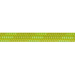 Beal Wall Cruiser Kletterseil 9,6 mm 200 m, grün