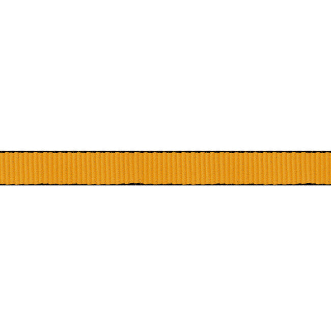 Beal Flachbandschlaufe 100 m, orange