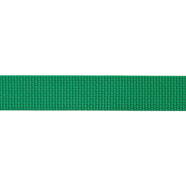 Beal Flachbandschlaufe 100 m, grün