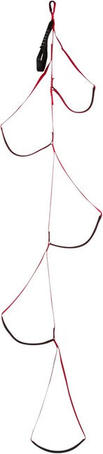 Black Diamond Alpine Leiter