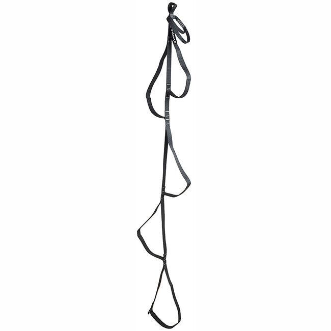 Camp Standard Aider Leiter 172 cm