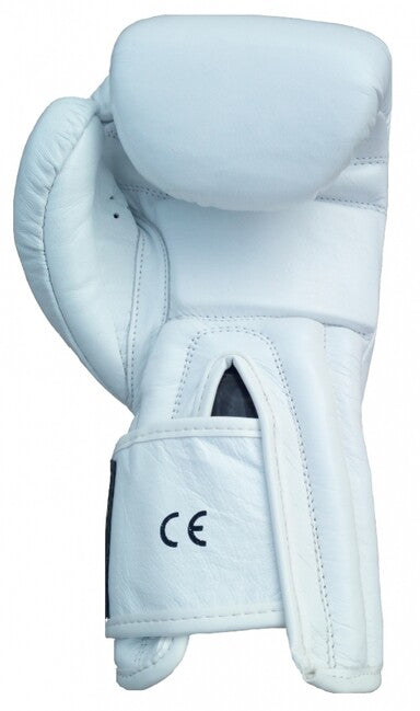 Katsudo Hawk Boxing Gloves, White