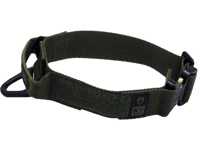 K9 Thorn Bravo halsband mit kobraschnalle, schwarz