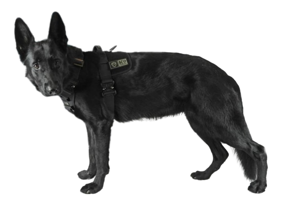 K9 Thorn Geschirr Delta, schwarz