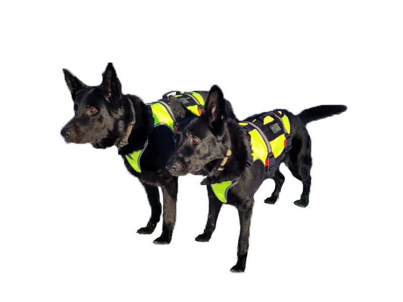 K9 Thorn ONE reflektierend gelb, XL
