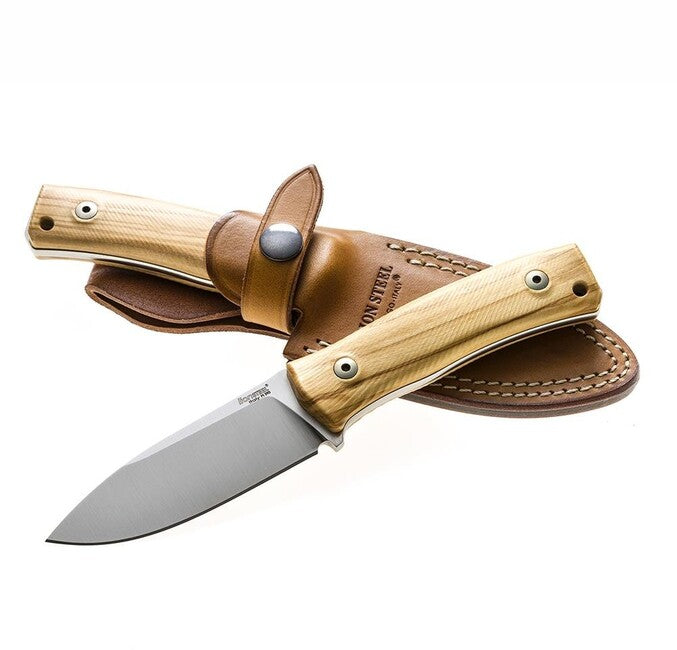 Lionsteel Compact Dolch mit Klinge aus M390 M4 UL Stahl