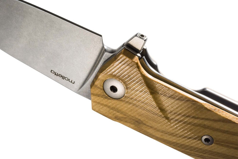 Lionsteel Sleipner Sehr robustes taschenmesser mit klinge KUR BUL