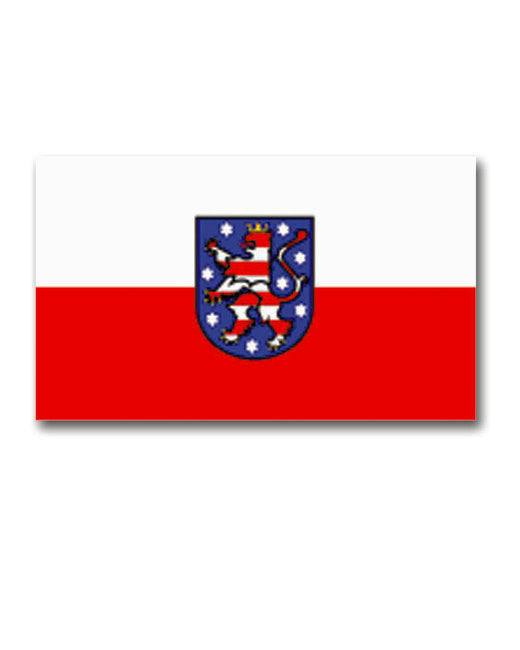 Mil-Tec Flagge Thüringen