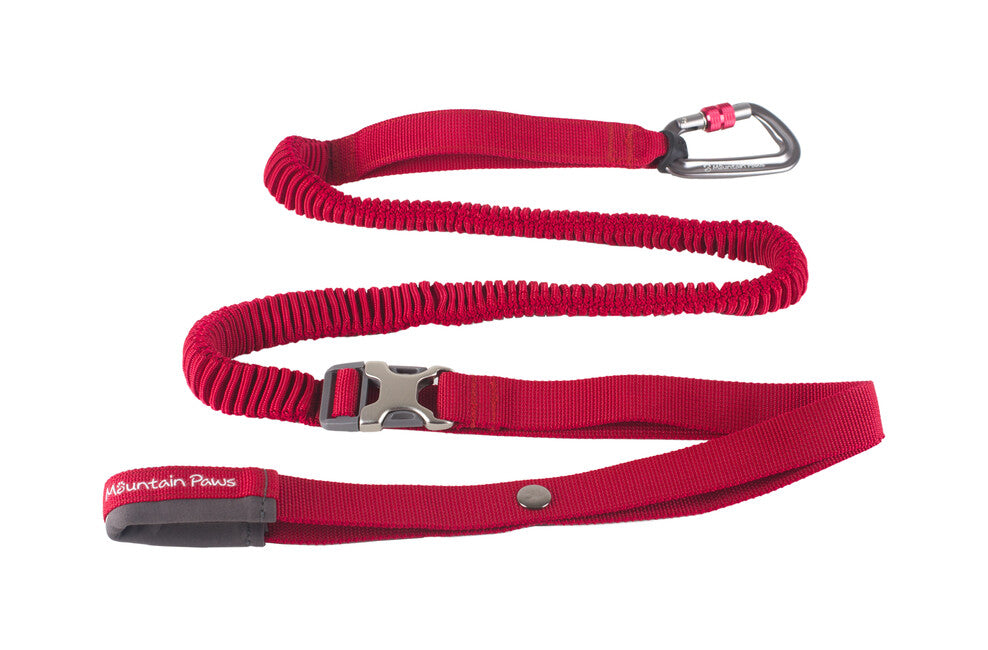 Mountain Paws Shock Absorber Elastische leine rot